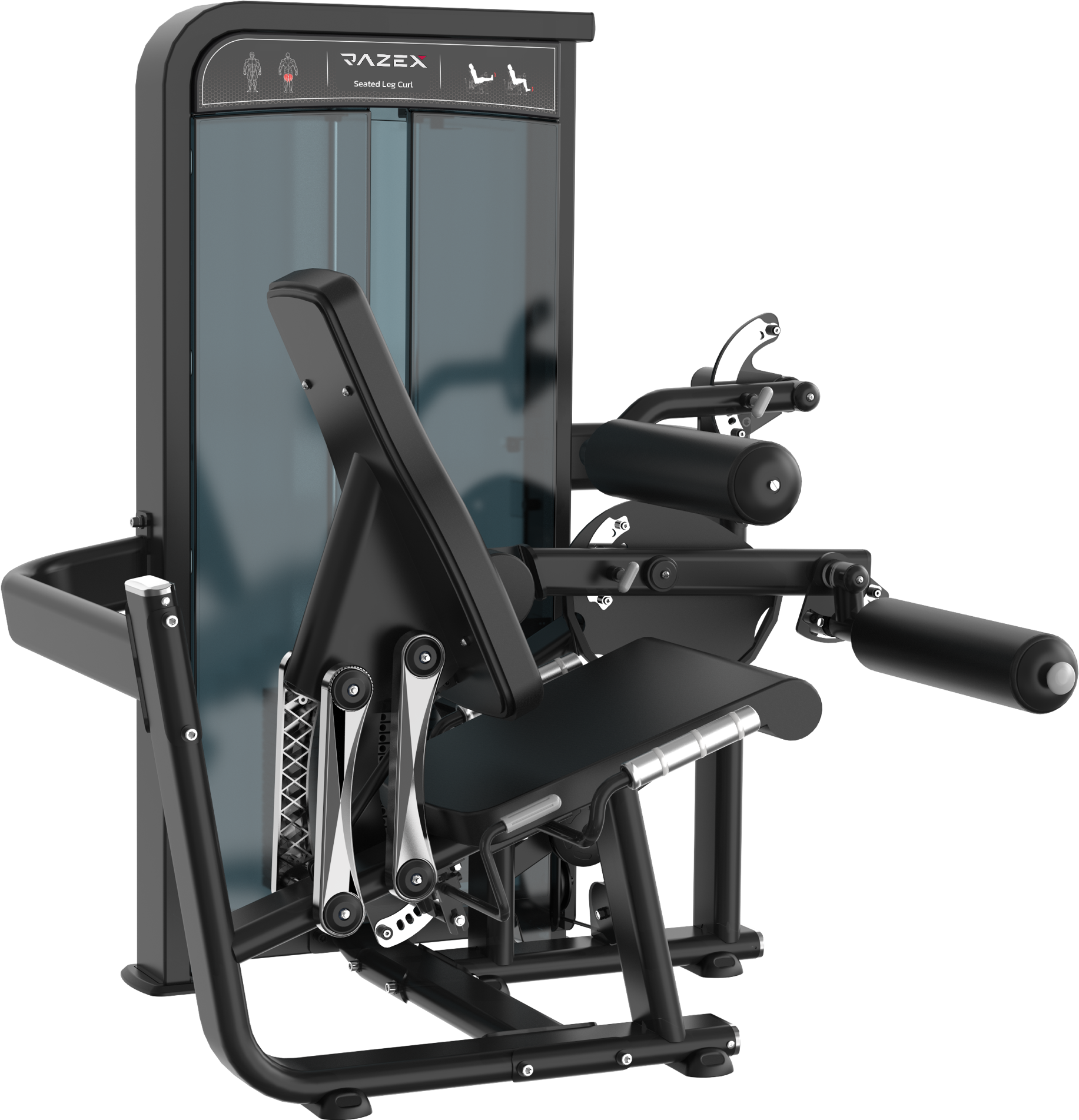 Seated Leg Curl